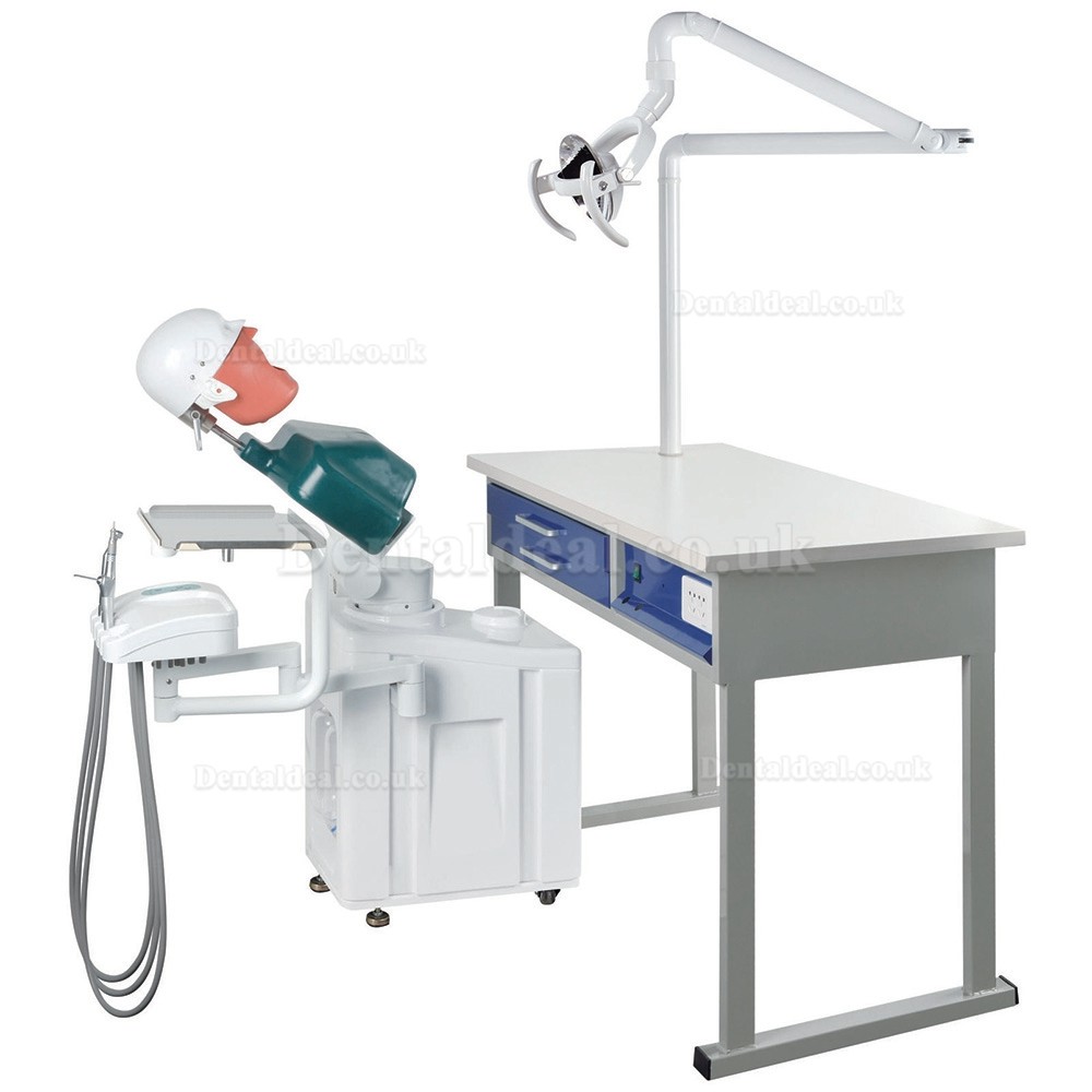 Jingle JG-A1 Phantom Head For Dental Students Dental Patient Simulation Unit